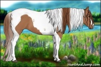 Horse Color:Chestnut Tobiano 