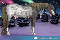 Horse Color:Liver Chestnut Ice 