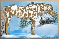 Horse Color:Chocolate Palomino Appaloosa