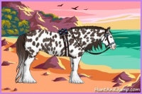 Horse Color:Liver Chestnut Splash Near Leopard Rabicano 