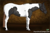 Horse Color:Liver Chestnut Tobiano 