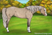 Horse Color:Silver Bay Ice Roan Dun Splash 