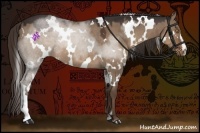 Horse Color:White Spotted Liver Red Dun Rabicano