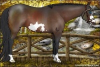 Horse Color:Brown Frame 