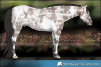 Horse Color:Liver Red Dun Ice Tobiano 