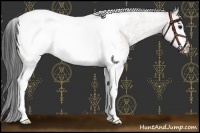 Horse Color:White Spotted Bay Snowcap 