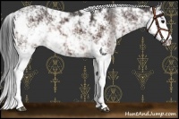 Horse Color:Brown Sabino