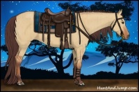 Horse Color:Chocolate Bay Dun Brindle