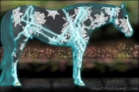 Horse Color:Thunderstruck Black Ice Sabino