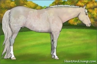 Horse Color:Watercolor Silver Sable Champagne Ice 