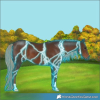 Horse Color:Thunderstruck Liver Chestnut 