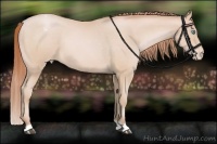 Horse Color:Buckskin Pearl Appaloosa 