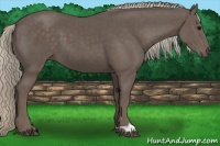 Horse Color:Silver Black 