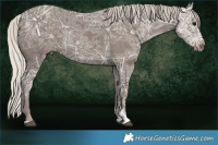 Horse Color:Silver Black Ice