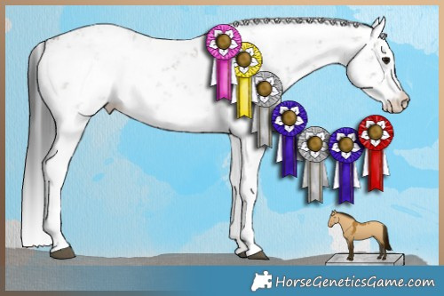Horse Color:Brown Dun Sabino Brindle 