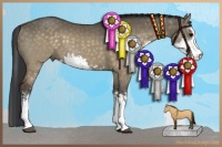 Horse Color:Brown Dun Sabino Brindle 