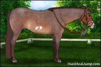 Horse Color:Chocolate Brown Roan Frame Rabicano 