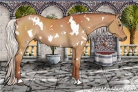 Horse Color:White Spotted Chocolate Silver Bay Rabicano 