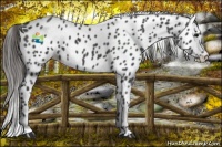 Horse Color:Smoky Black Leopard 