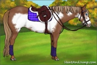 Horse Color:Chestnut Frame 