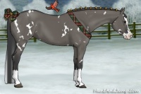 Horse Color:White Spotted Grullo Splash 