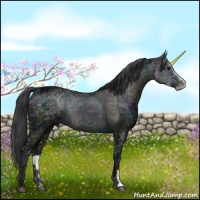 Horse Color:Midnight Black Ice Sabino