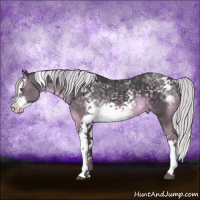 Horse Color:Silver Black Chinchilla Splash Tobiano 