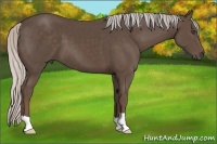 Horse Color:Silver Black 