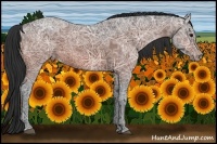 Horse Color:Bay Ice Appaloosa 
