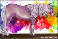 Horse Color:Watercolor Silver Blue Onyx 