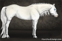 Horse Color:Silver Perlino Onyx Splash 