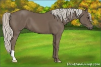 Horse Color:Silver Black 