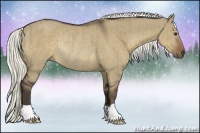 Horse Color:Liver Red Dun Rabicano Brindle