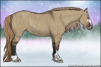 Horse Color:Liver Red Dun Sabino Rabicano Brindle