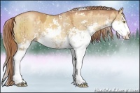 Horse Color:Gold Champagne Dun Sabino