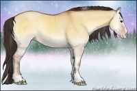 Horse Color:Sable Champagne Onyx Sabino Rabicano Brindle