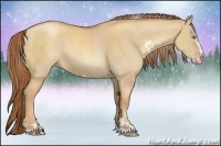 Horse Color:Gold Champagne Dun Sabino Rabicano Brindle 