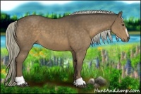 Horse Color:Liver Chestnut Sabino