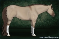 Horse Color:Liver Red Dun 