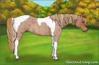 Horse Color:Red Roan Tobiano 