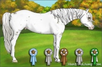 Horse Color:Chocolate Palomino Sabino 