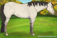 Horse Color:Sable Champagne Dun 