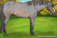 Horse Color:Brown Roan Varnish 
