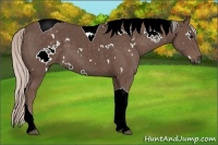 Horse Color:White Spotted Silver Black Tobiano 