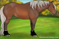 Horse Color:Silver Brown 
