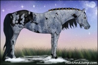 Horse Color:ERROR: UNKNOWN ANOMALY