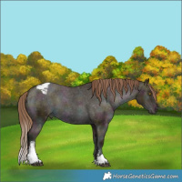 Horse Color:White Spotted Midnight Brown Pearl Dun Varnish Brindle 