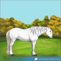 Horse Color:White Spotted Midnight Brown Pearl Dun Appaloosa Brindle 