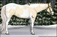 Horse Color:Silver Amber Champagne Roan Dun Splash Tobiano Frame Appaloosa Rabicano 
