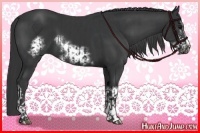 Horse Color:Black  and Black Frame 